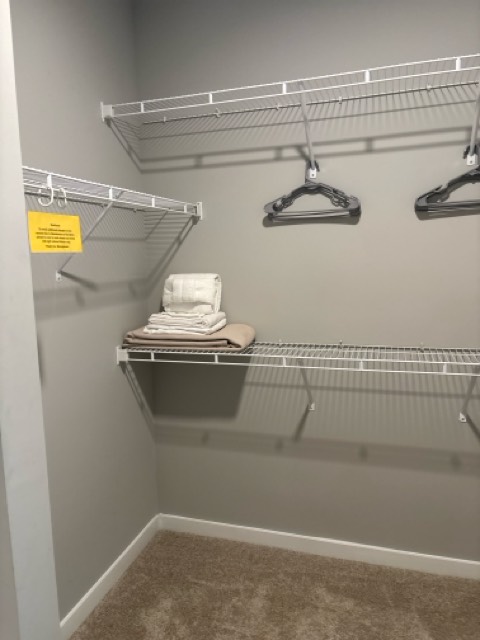 Furnished room in 2-bed, Morrisville, Raleigh