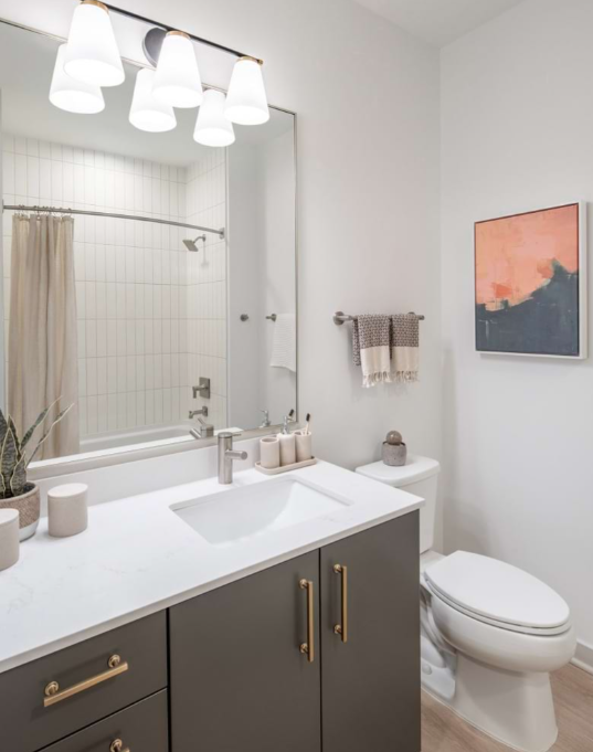 Furnished room in 2-bed, Sterling VA #391