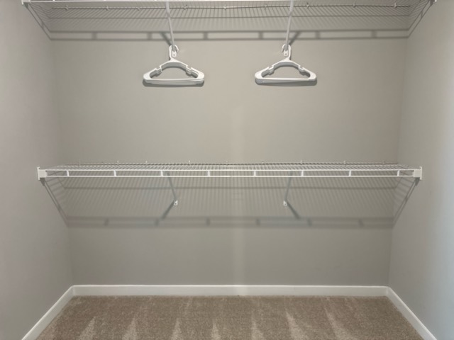Furnished room in 2-bed, Morrisville, Raleigh