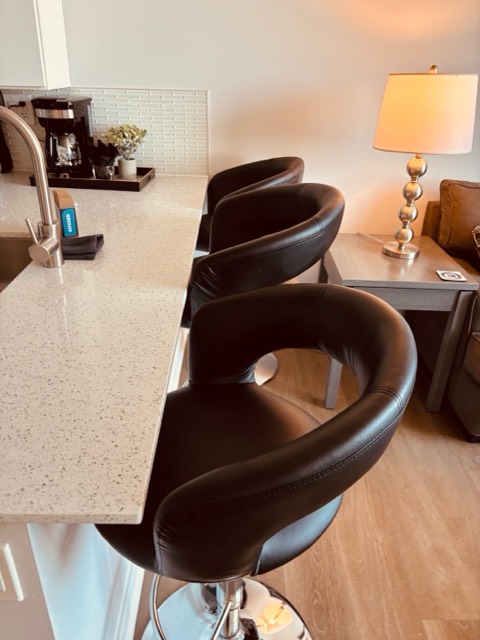 Chicago Modern High RIse