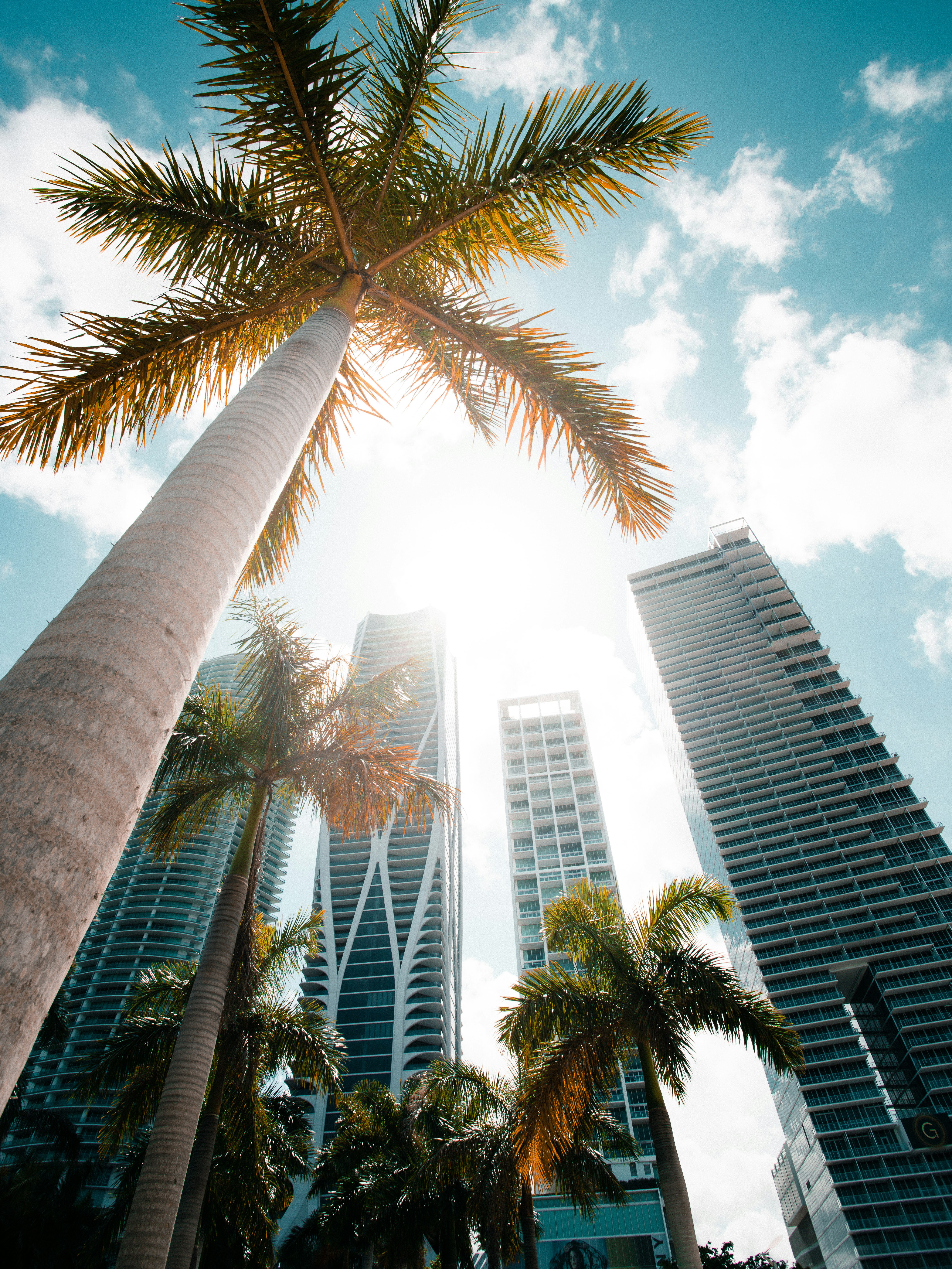 Florida markets